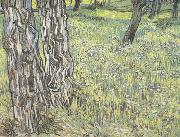 Vincent Van Gogh Pine Trees and Dandelions in the Garden of Saint-Paul Hospital (nn04) Germany oil painting reproduction